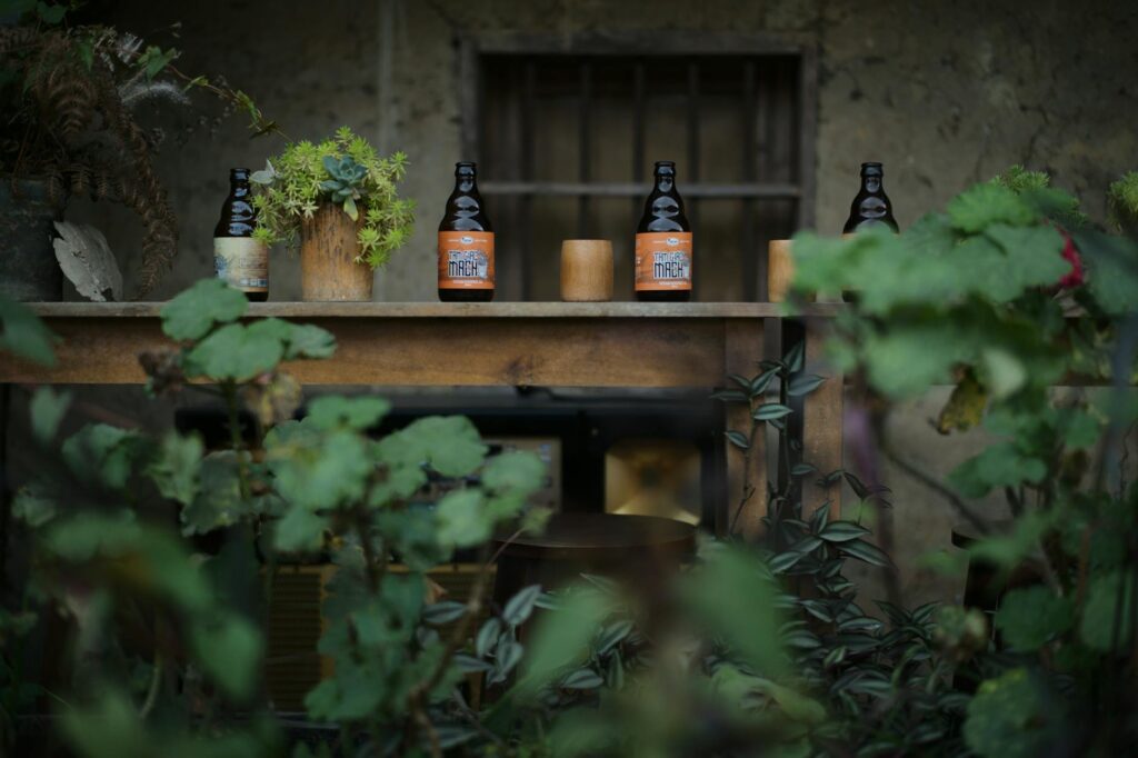 Bière bretonne notre sélection des — bouteilles de bière bretonne sur table en bois