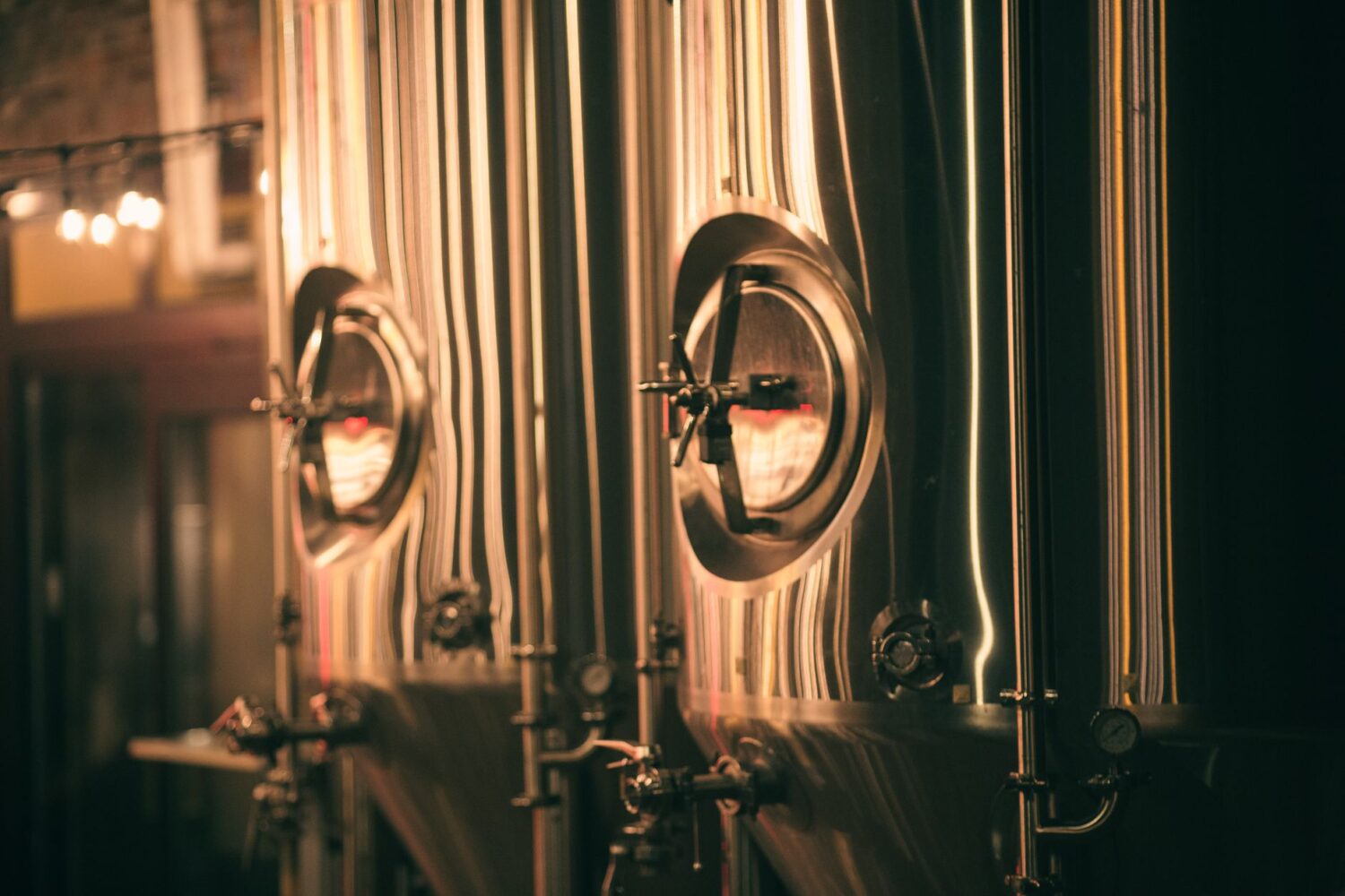 Bloom Pop, le brewpub de Rennes qui brasse sa bière sur place