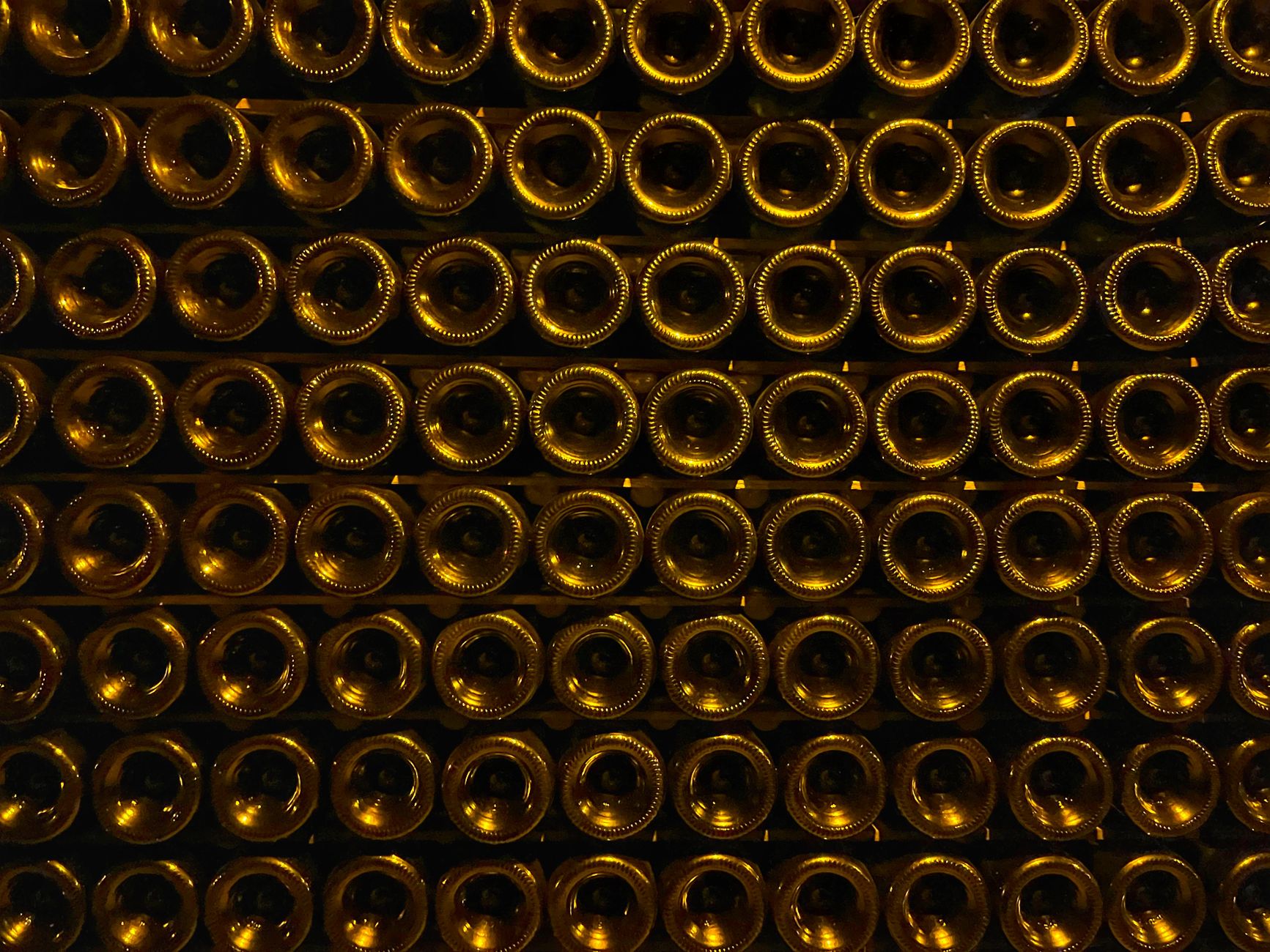 Identifier une capsule de champagne — capsules de champagne en exposition