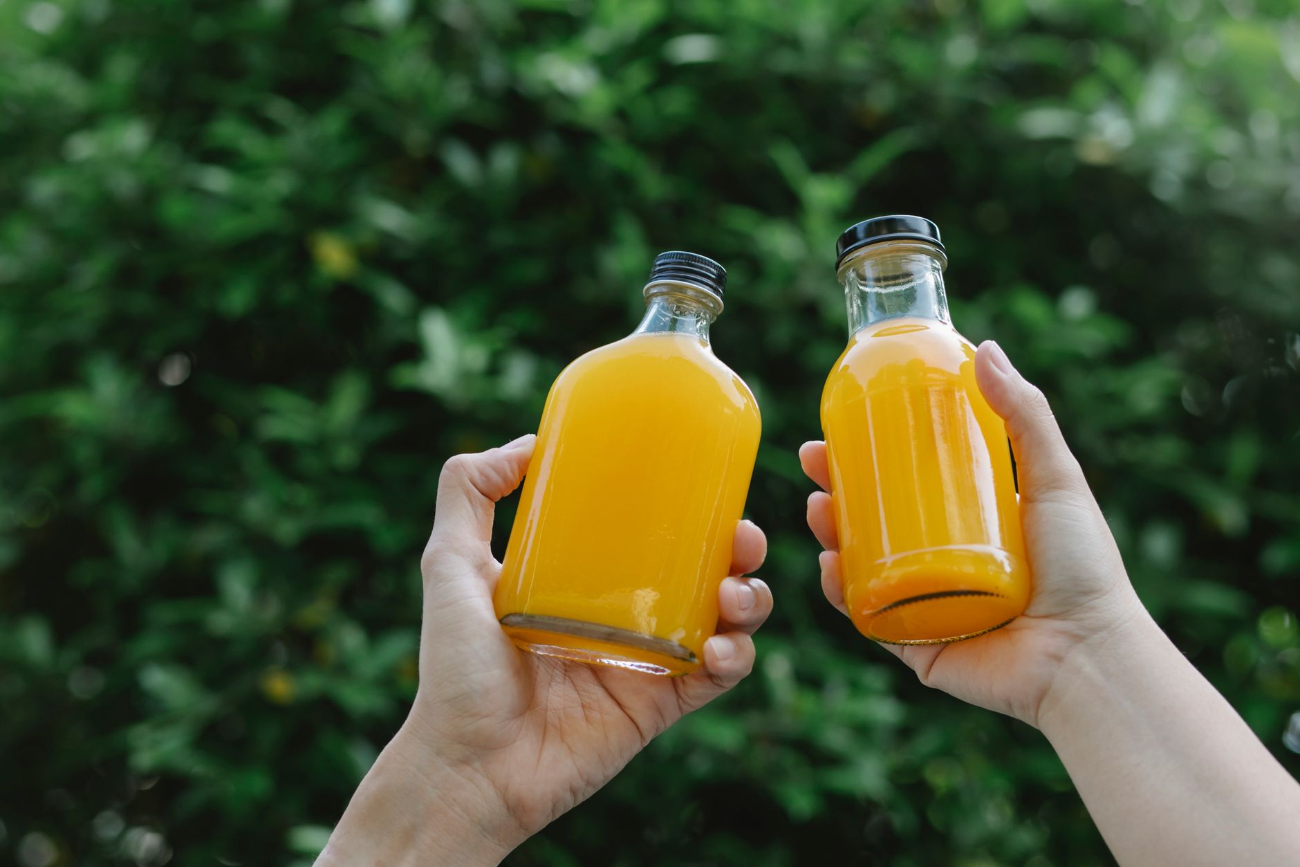 Comment préparer une liqueur d’orange maison à la saveur de Cointreau — bouteille de liqueur d'orange maison
