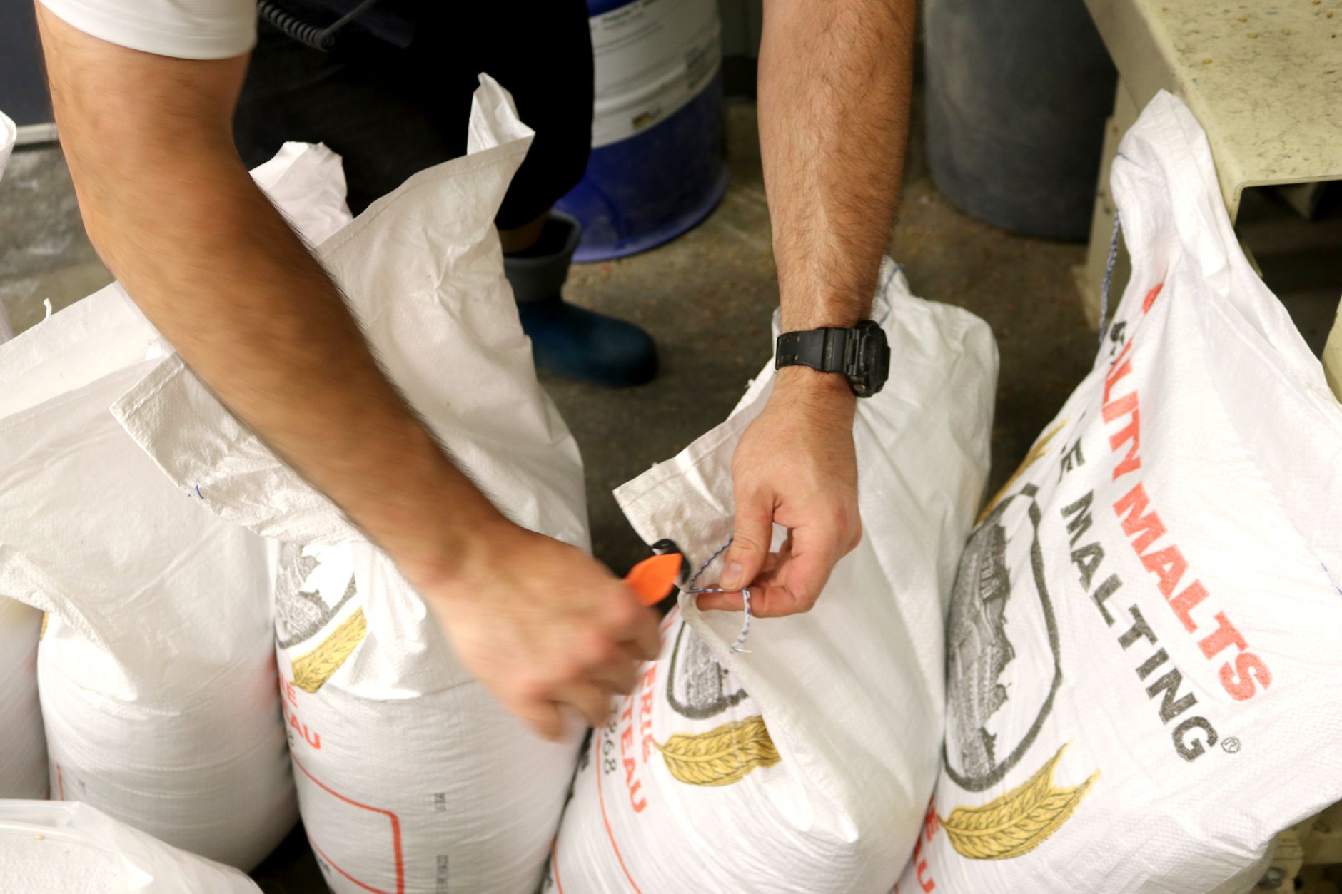 Malt de bière et maltification de l’orge : comprendre la transformation du grain — grains de malt d'orge en gros plan