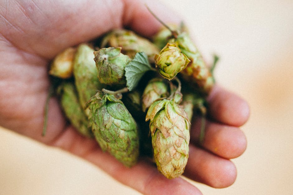 Ingrédients de brassage : houblon et malt