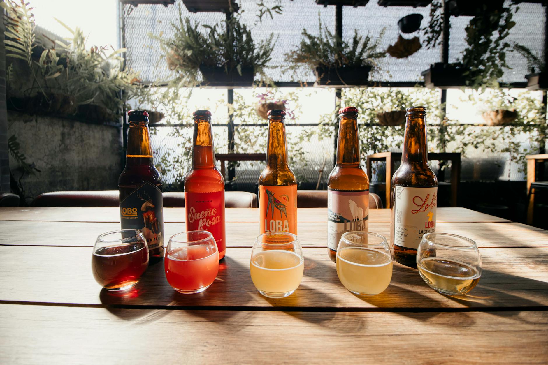Microbrasserie Balthazar et tourisme brassicole local : une adresse qui vaut le détour — visite de microbrasserie dégustation de bière