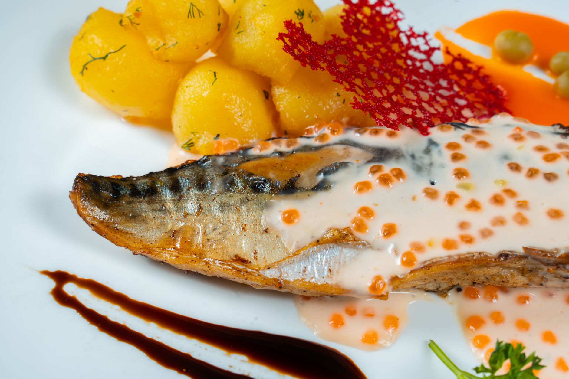 Sauce au champagne pour poisson : une base de cuisine française à maîtriser — assiette de poisson sauce au champagne